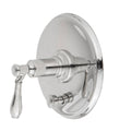 Biscuit Tub and Shower Diverter Plate with Handle P28149