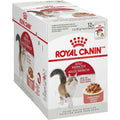Adult Instinctive Chunks in Gravy Cat Food Pouch S262381