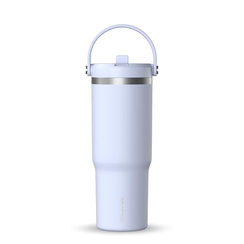 24 oz Stainless Steel Tumbler with Handle and Straw Lid R951670