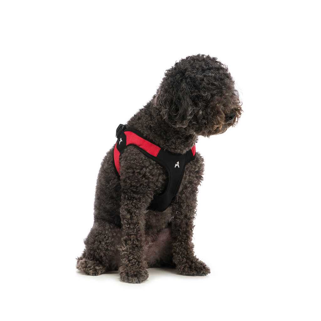 Dog Harness P394464