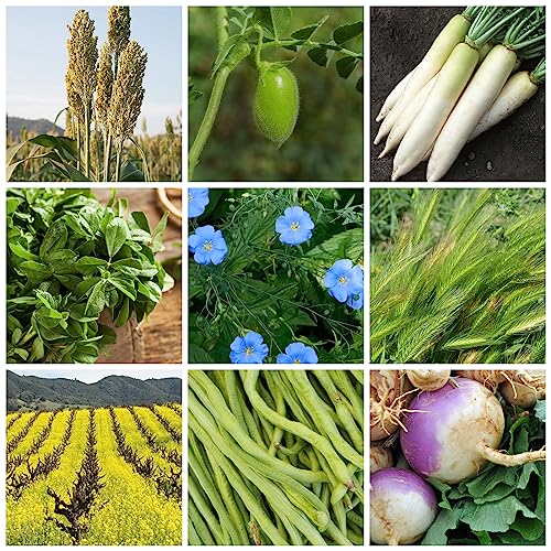 5 lb Non-GMO Cover Crop Seed Mix U75262