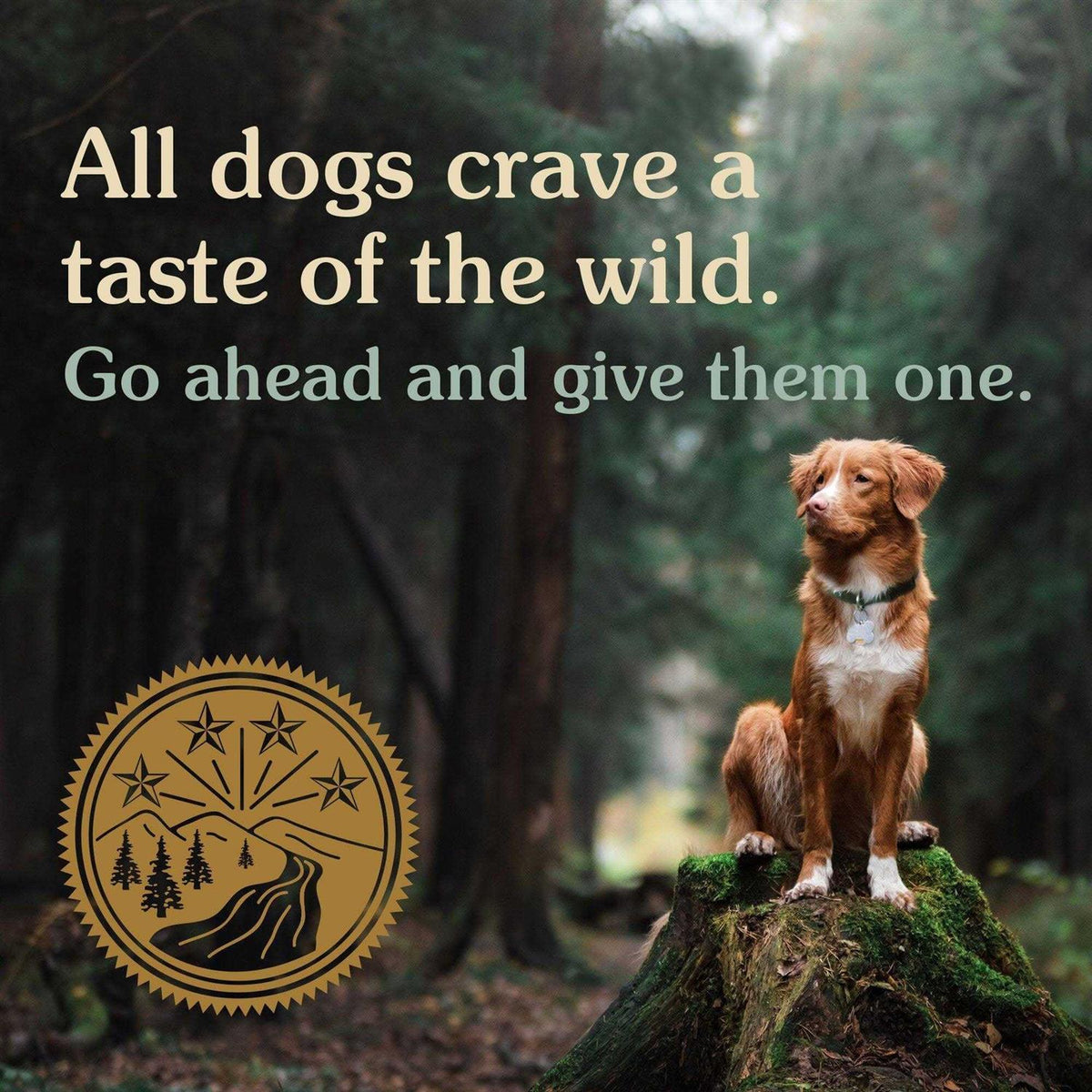 Dog Food V9083