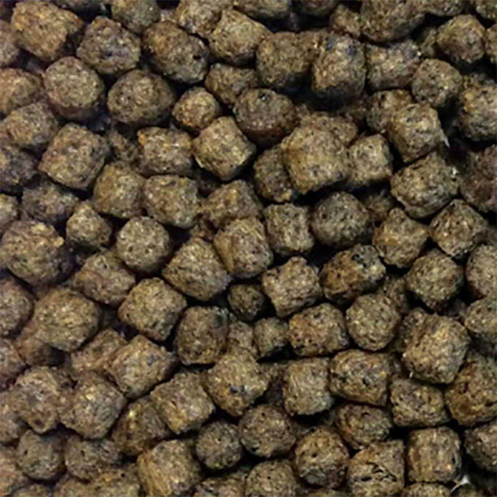 Fish Food W546