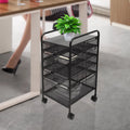 5 Drawer Black File Cabinet M54491