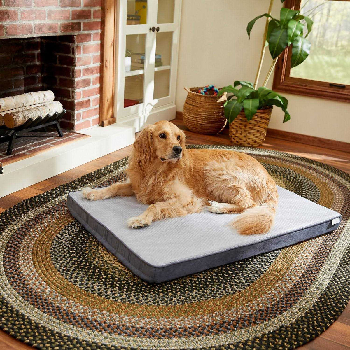 Large Cooling Orthopedic Dog Bed with Removable Cover T633604