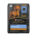 Chicken & Rice Formula Dry Dog Food H8416