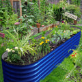 Cobalt Blue Raised Beds M439