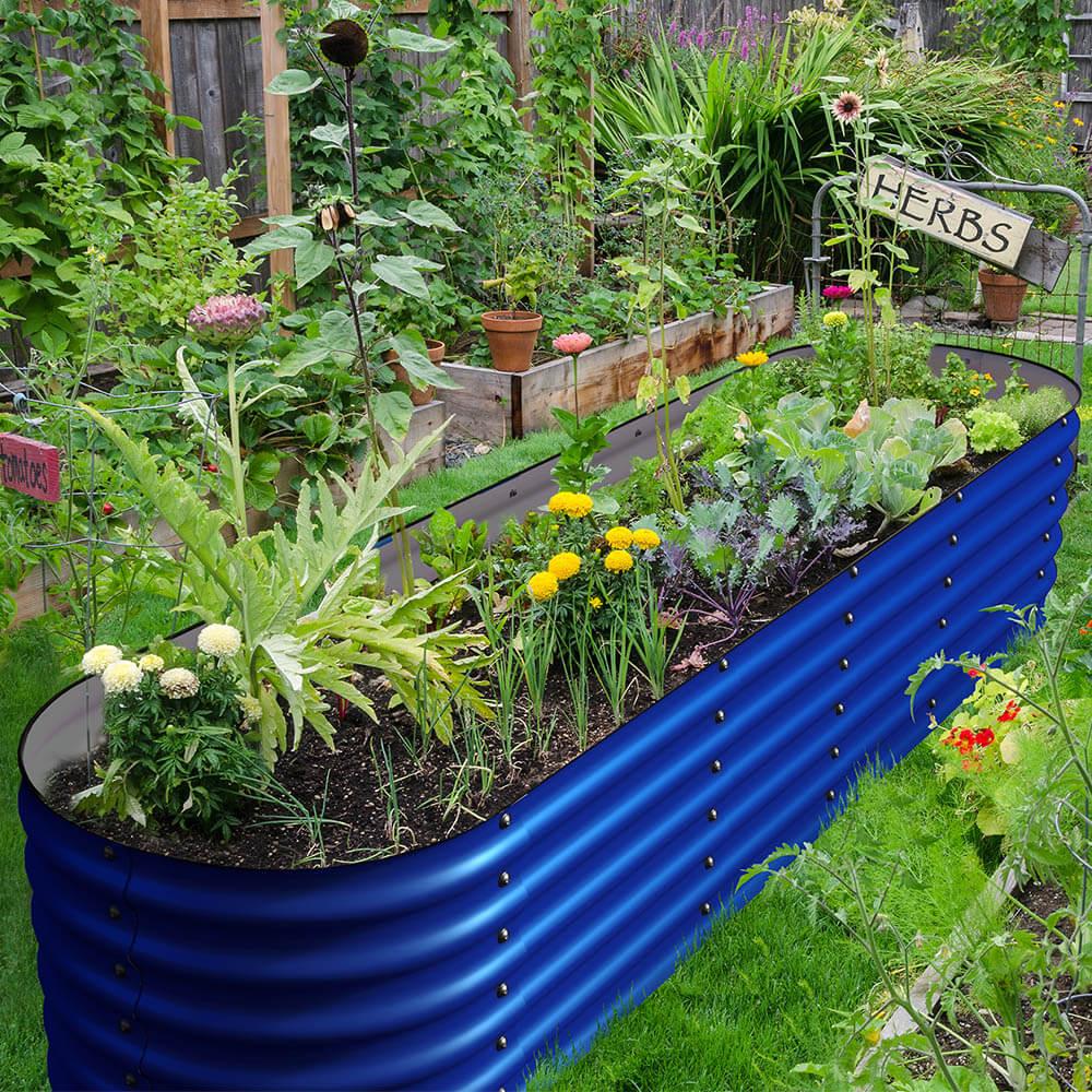 Cobalt Blue Raised Beds M439