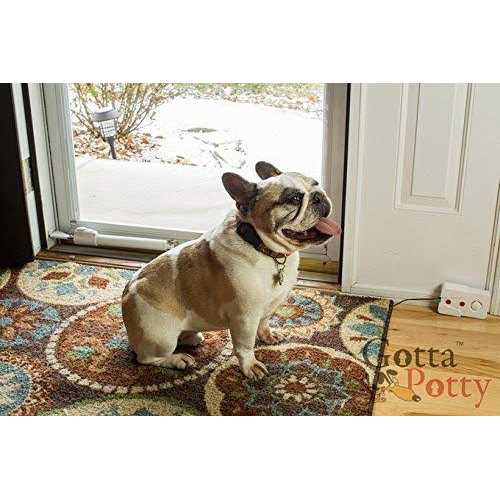 Wireless Dog Potty Training System B459814