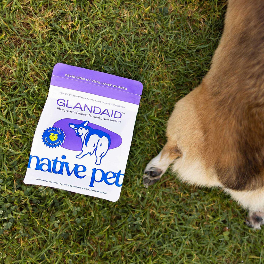 Anal Gland Supplement for Dogs S248