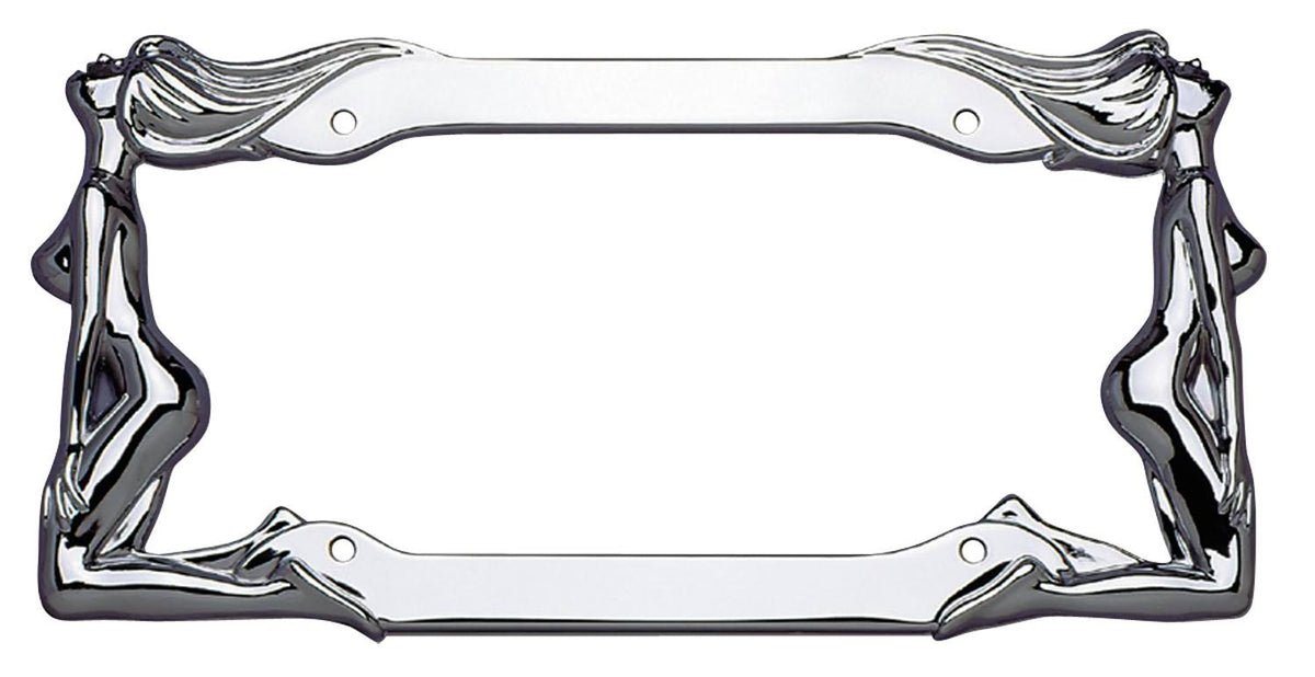 License Plate Frame Chrome S5639