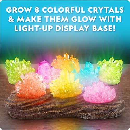 Crystal Growing Kit with Light-Up Stand U6857