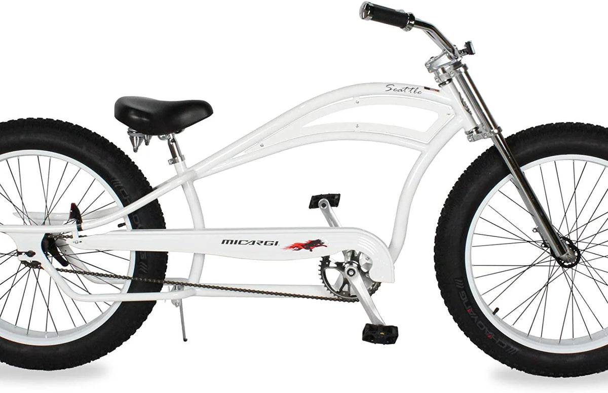 26 Single Speed Fat Tire Beach Cruiser Bike P7656