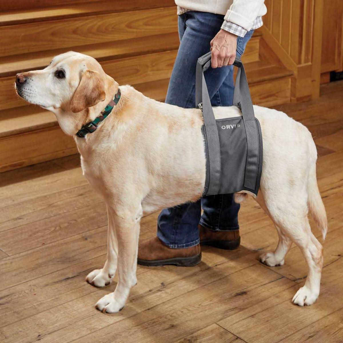Gray Rear Dog Lift F99171
