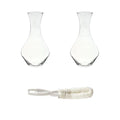Cabernet Wine Decanter Set of 2 & Stemware Washing Brush U571054
