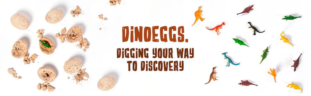 Dinosaur Eggs Stem Toys X5443