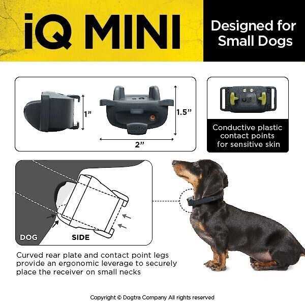 Dog Training Collar O815