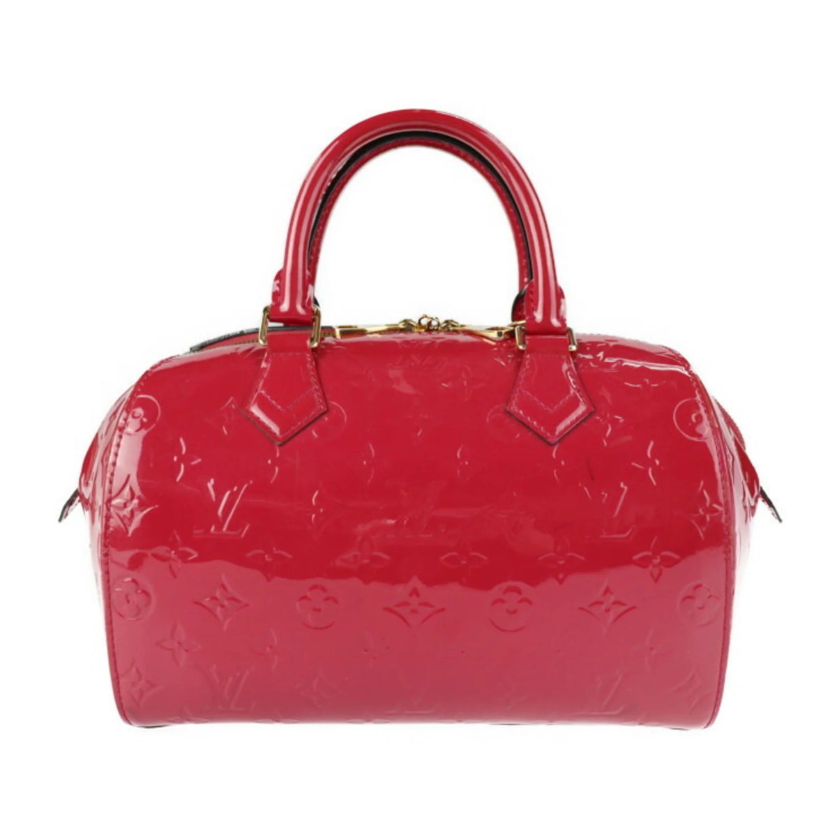 Pre-Owned Monogram Verni Leather Handbag E4650