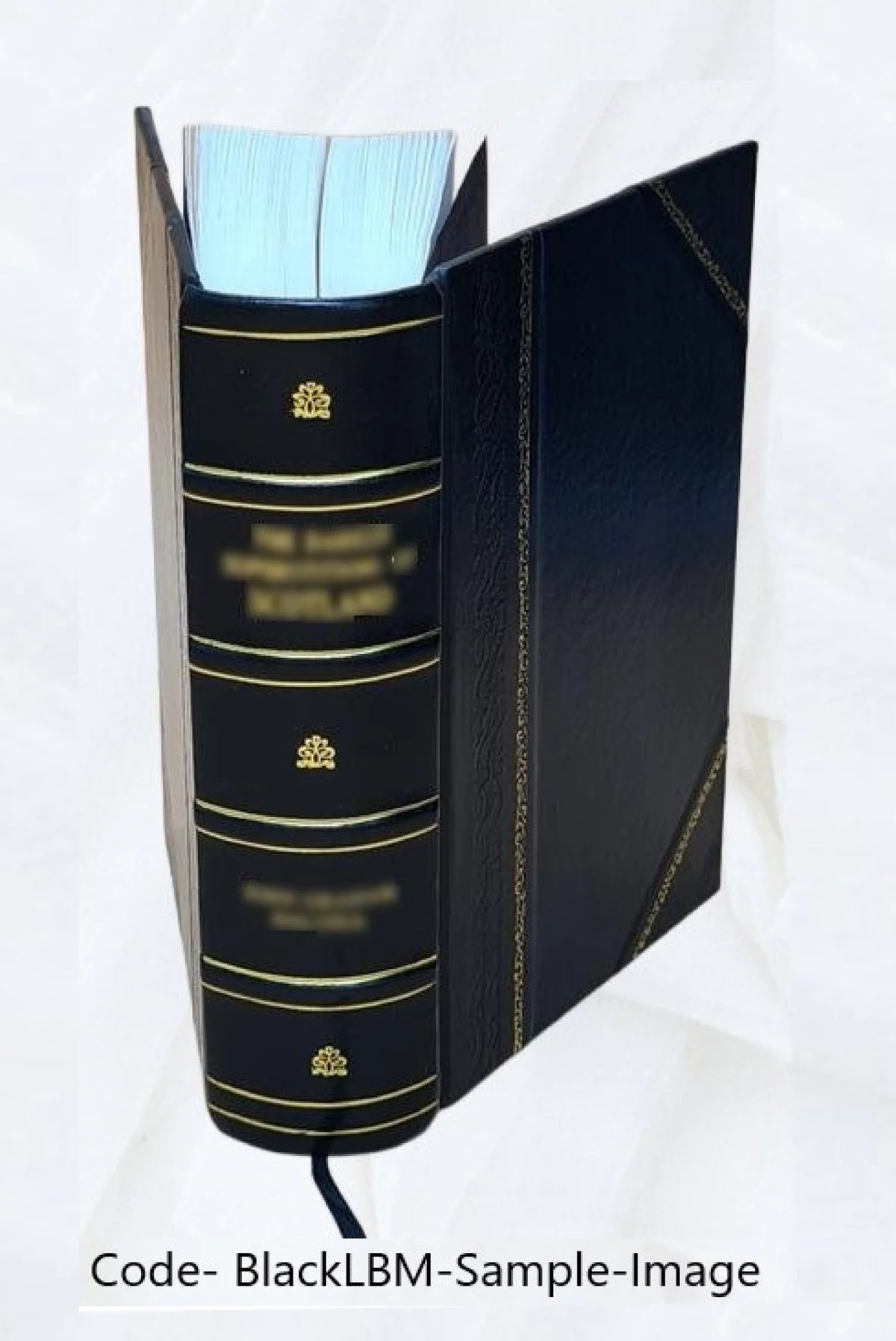 Leather Bound Historical Topographic Account A973463