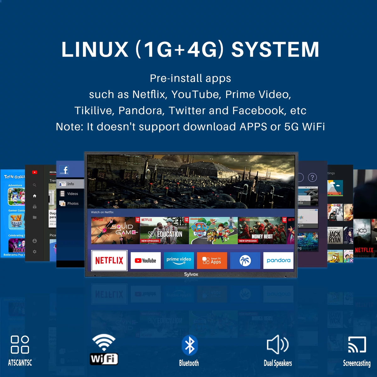 43 inch 4K LED Waterproof Outdoor TV E5071