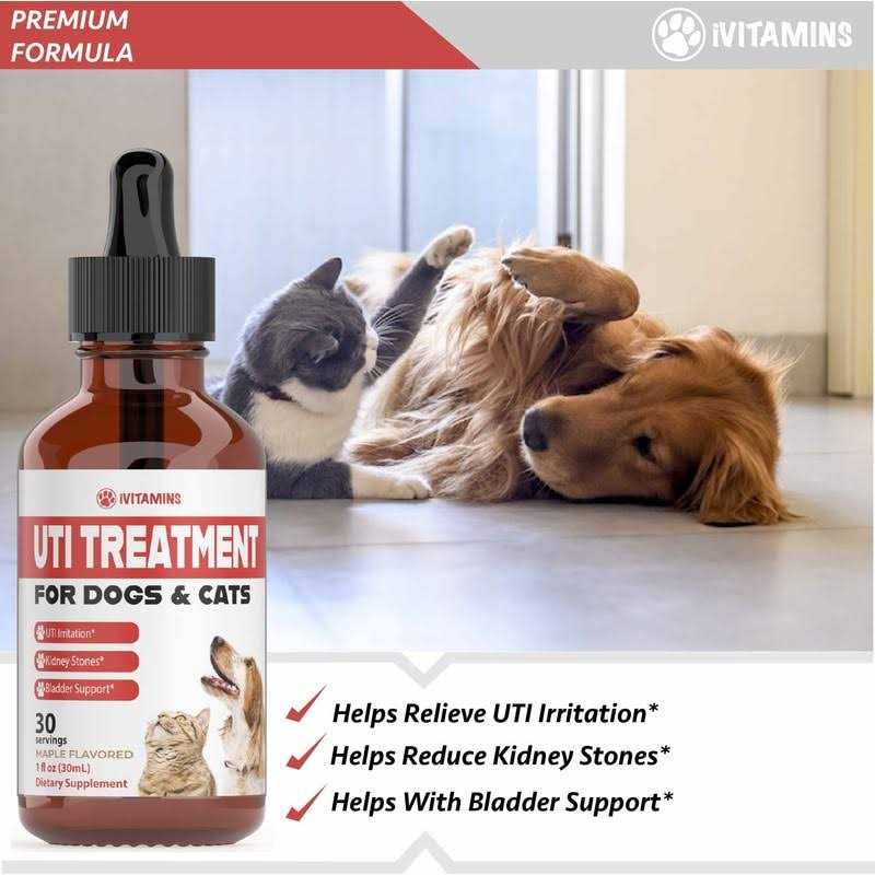 Pumpkin Cranberry Dog UTI Supplement H80012