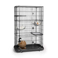 Premium Cat Home with 4 Levels T62043