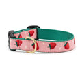 Strawberry Fields Dog Collar D1008