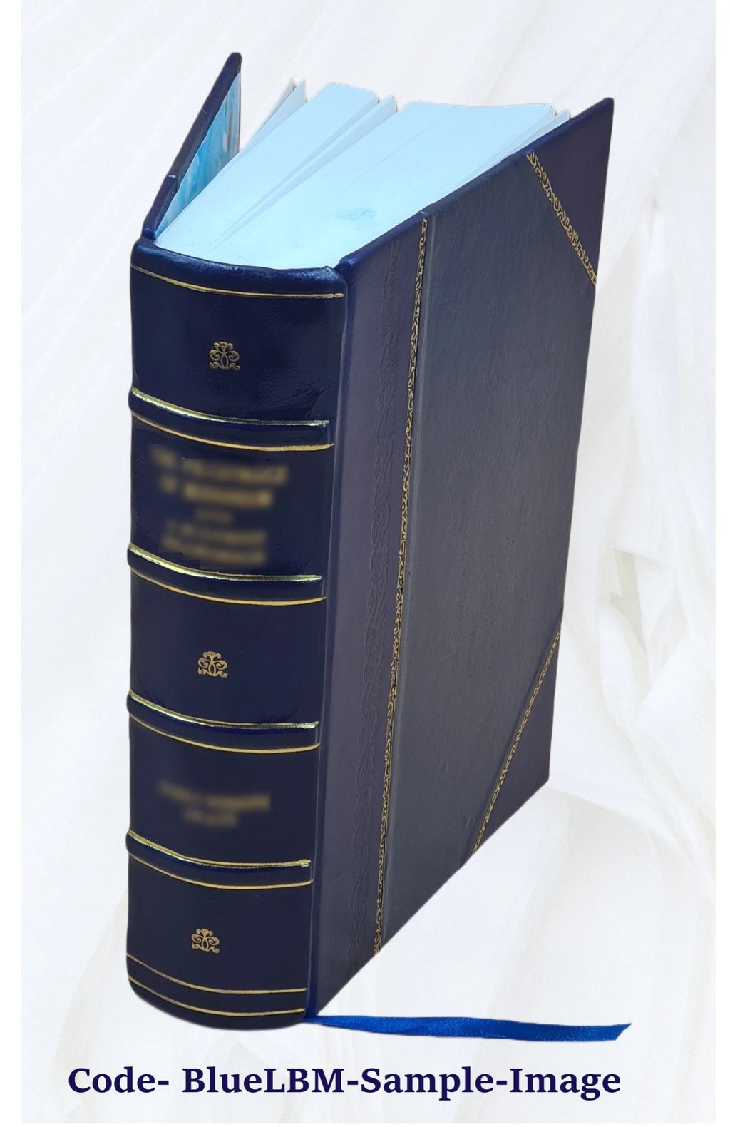 Leather Bound Historical Topographic Account A973463