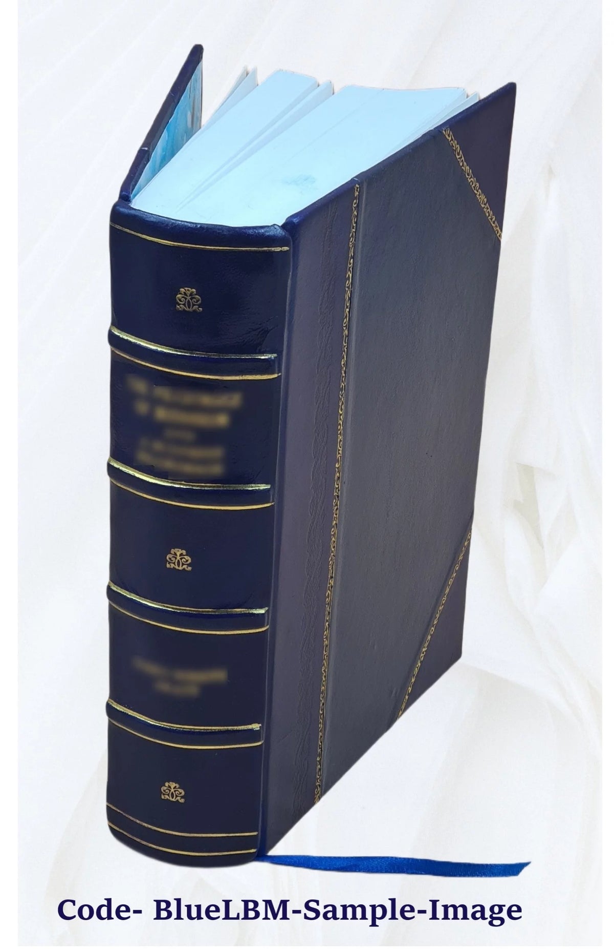 Leather Bound Historical Topographic Account A973463