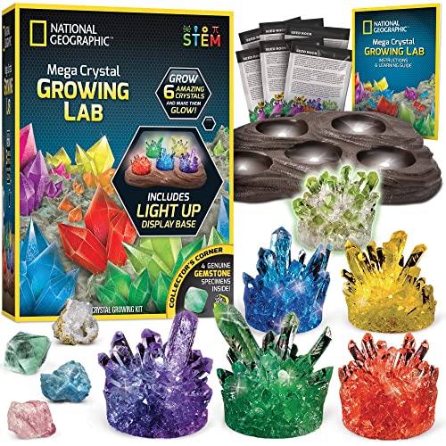 Crystal Growing Kit with Light-Up Stand U6857