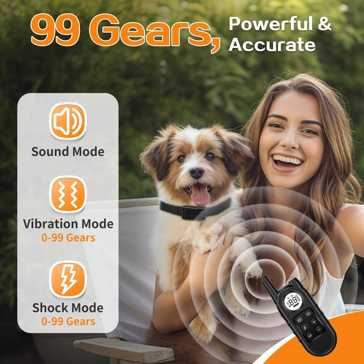 Dog Training Collar with Remote M19869