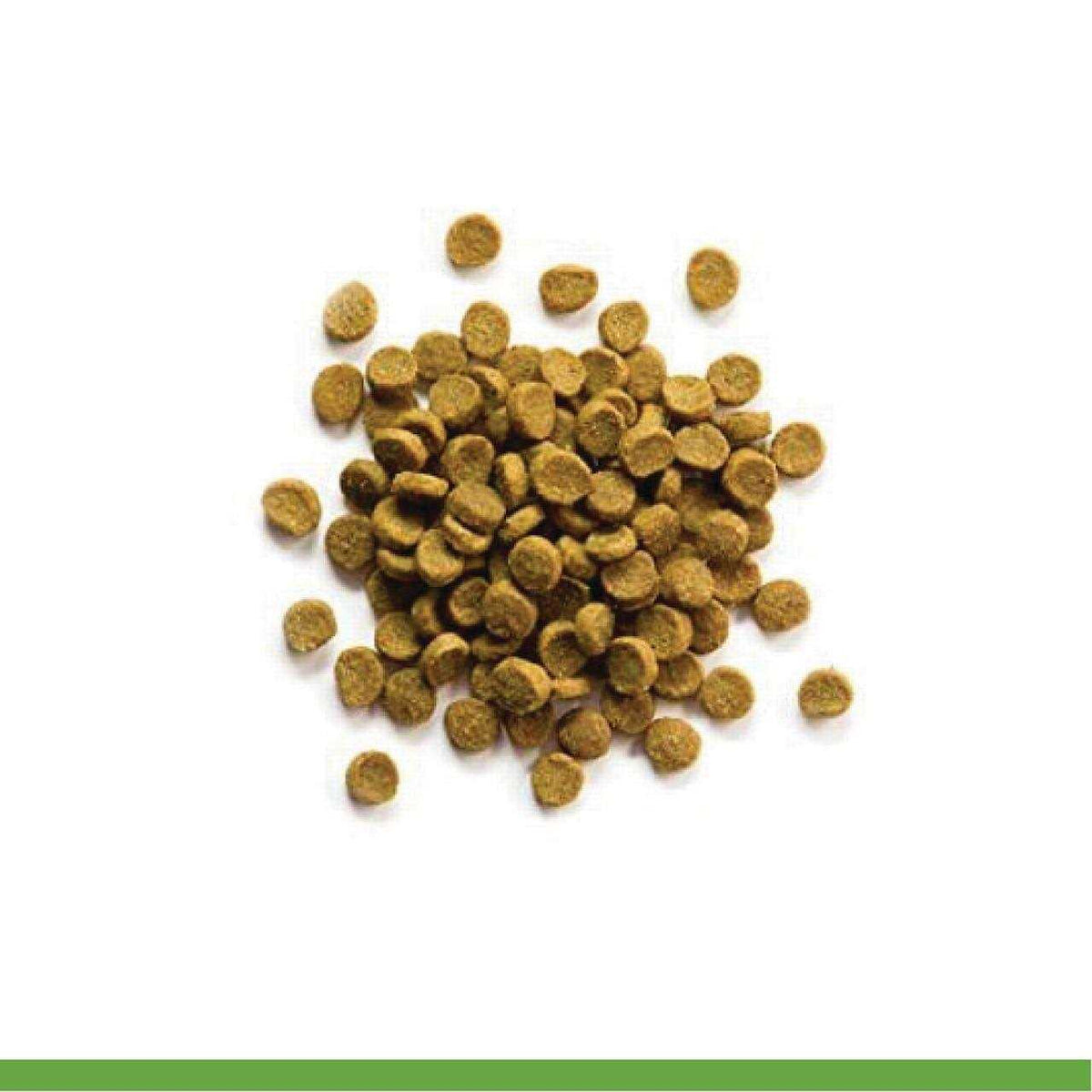 Premium Ferret Diet S485439