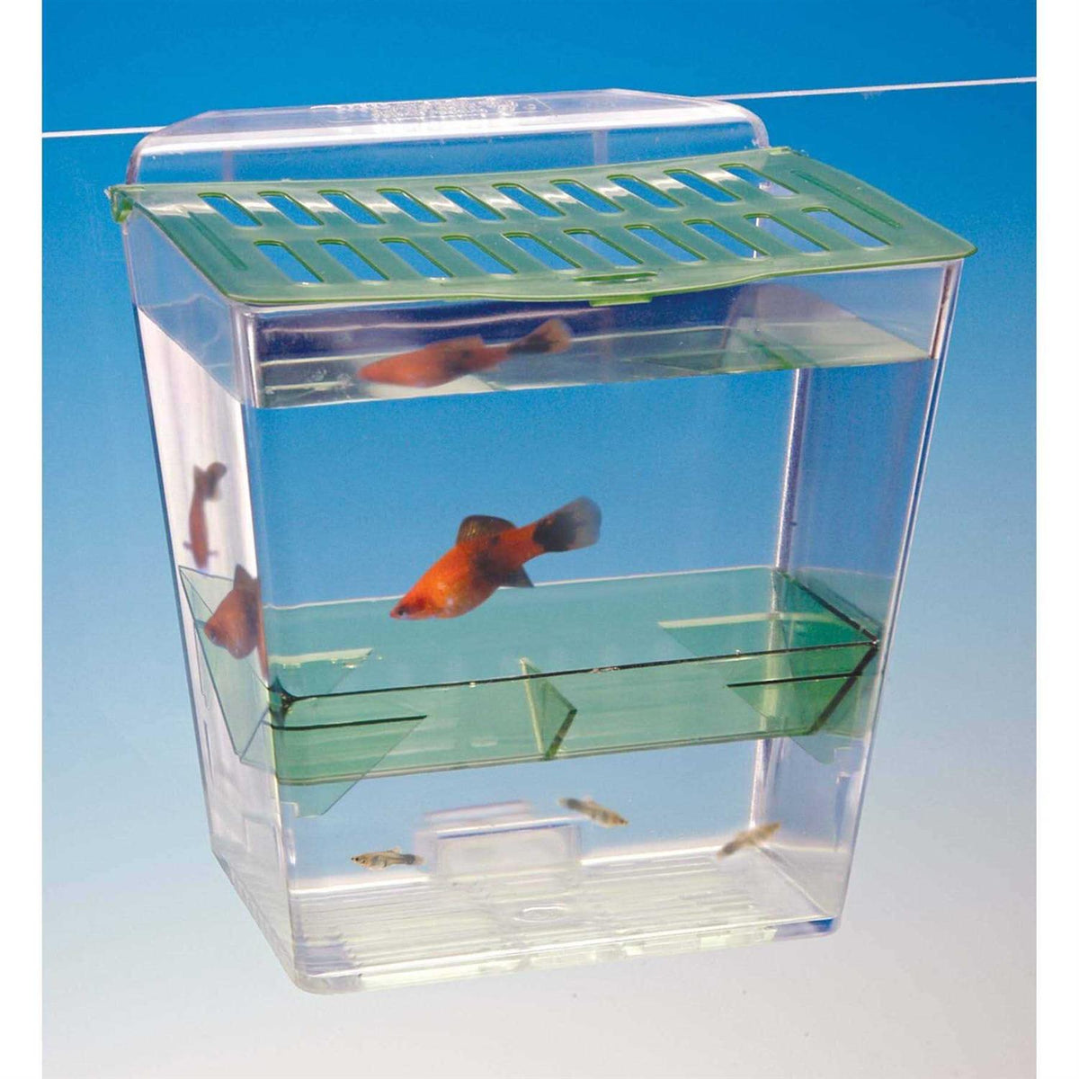 Pet Supplies A146