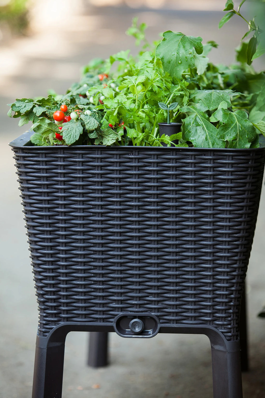 Raised Garden Bed with Self-Watering and Drainage System M70972