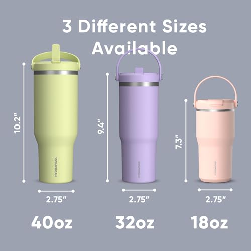 24 oz Stainless Steel Tumbler with Handle and Straw Lid R951670