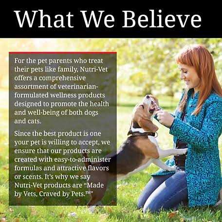 Hip & Joint Soft Chews For Dogs C350