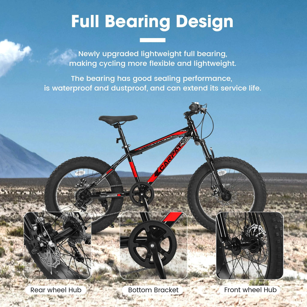 20 Inch 4 Wide Fat Tire 7 Speed Steel Frame Kids Bike H15775