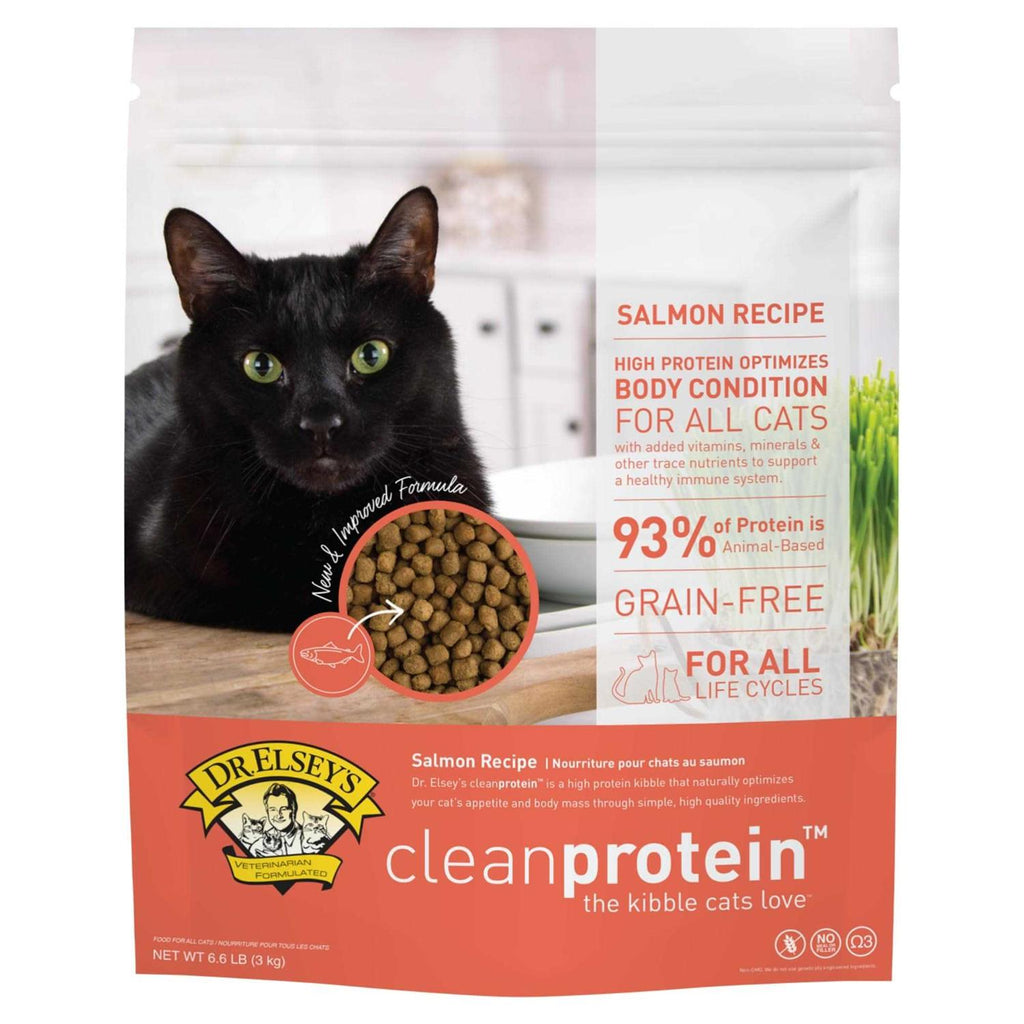 Salmon Dry Cat Food Q883555