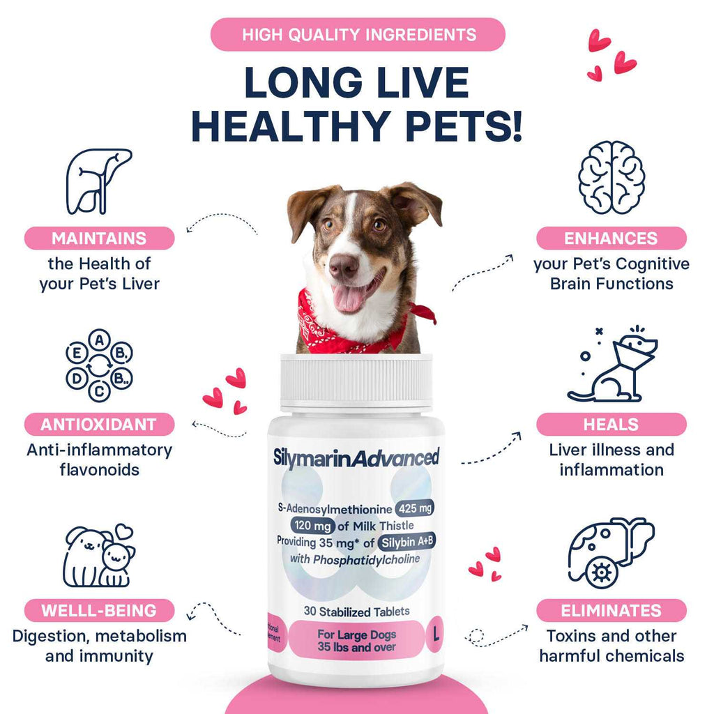 Dogs and 30 tablets Q585906