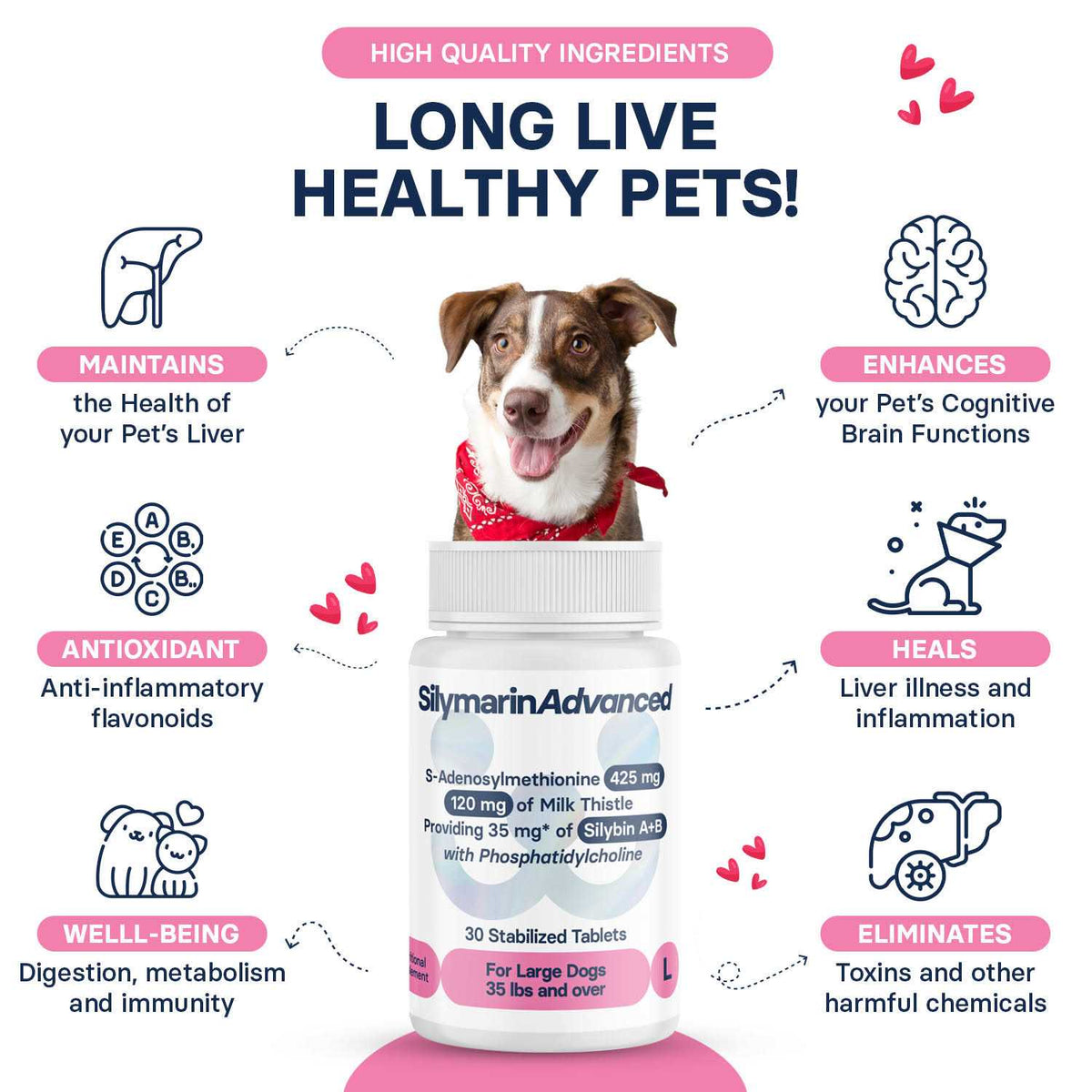 Dogs and 30 tablets Q585906
