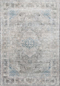 Silver Blue 3'7 x 5' Rug I758