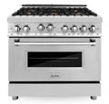 36 in. Gas Burner/Gas Oven in Stainless Steel with Brass Burners B36266