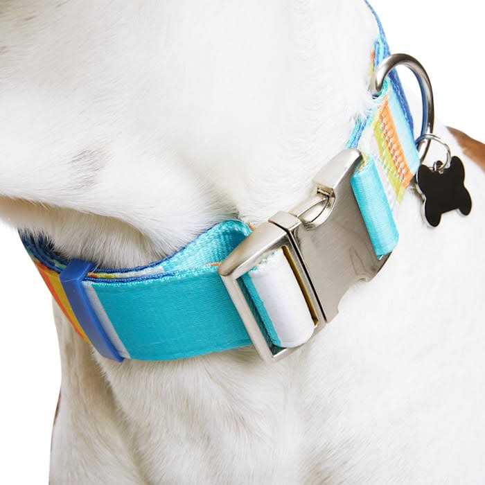 Reflective Dog Collar Y3352