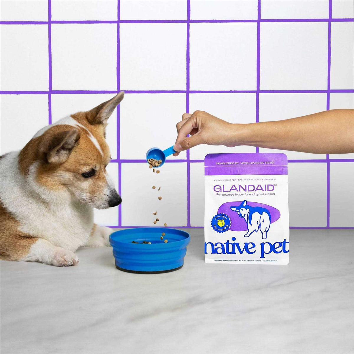 Anal Gland Supplement for Dogs S248