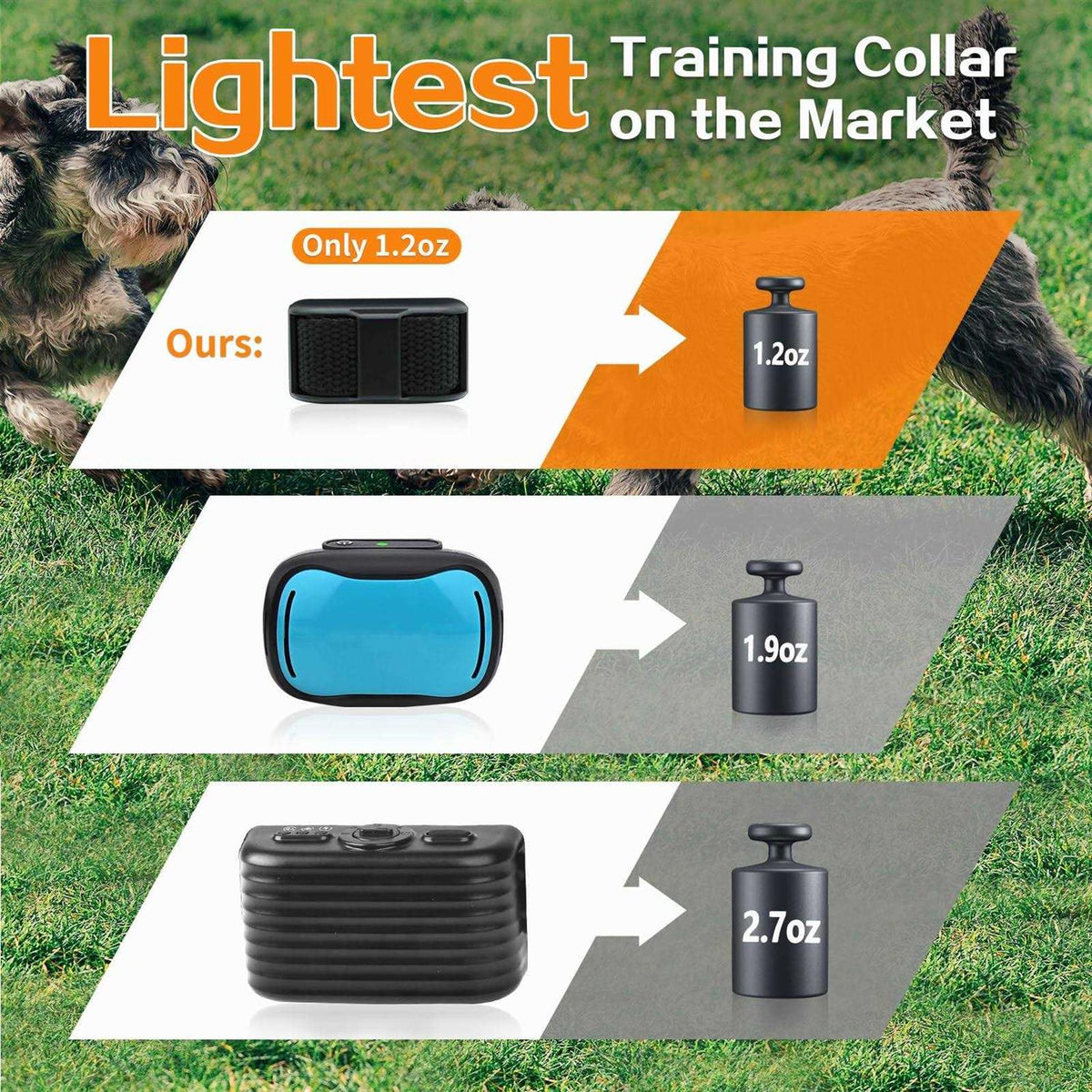 Dog Training Collar with Remote M19869