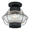 13" Textured Black Outdoor Semi-Flush Mount I76037