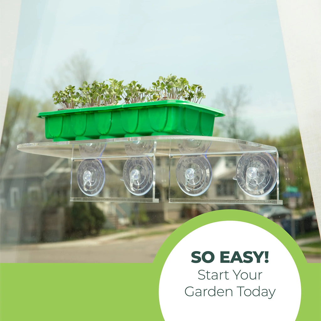 Clear Acrylic Window Shelf for Plants U59304