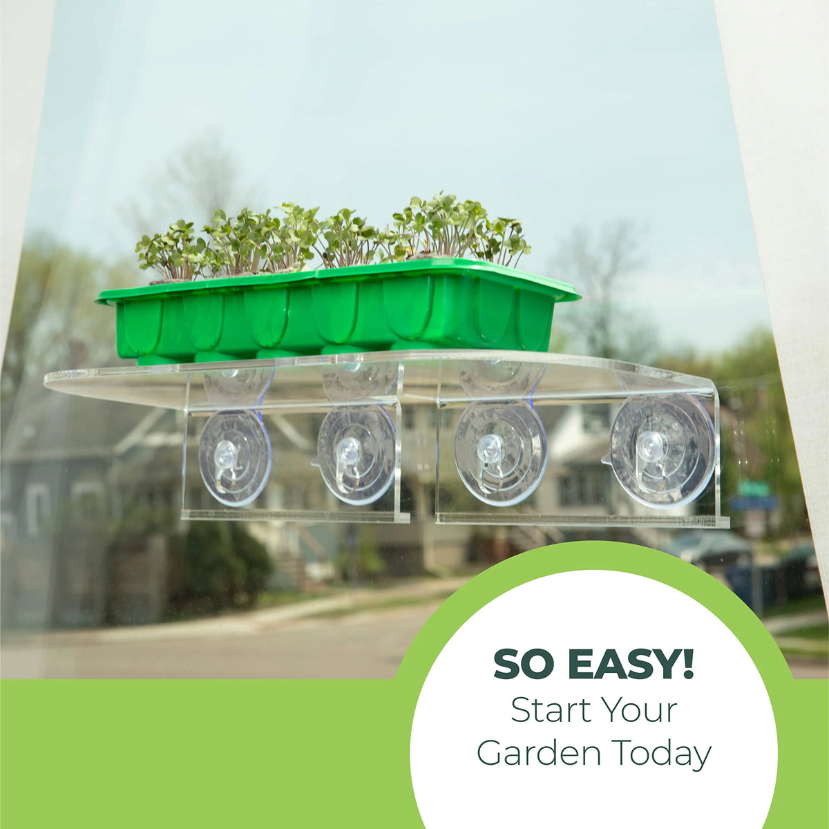 Clear Acrylic Window Shelf for Plants U59304