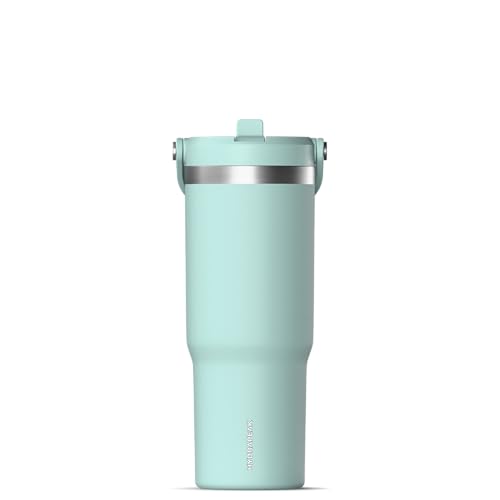 24 oz Stainless Steel Tumbler with Handle and Straw Lid R951670