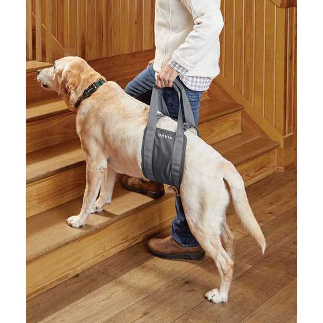 Gray Rear Dog Lift F99171